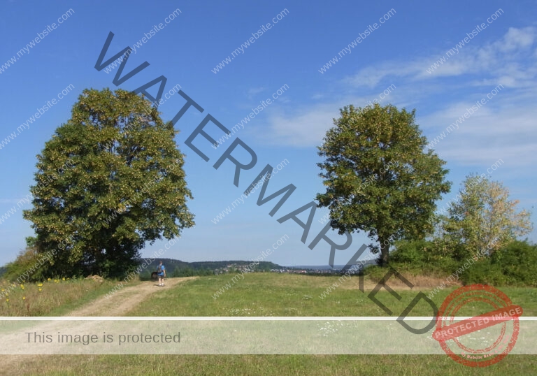 ruh - Heiligenfeld 54