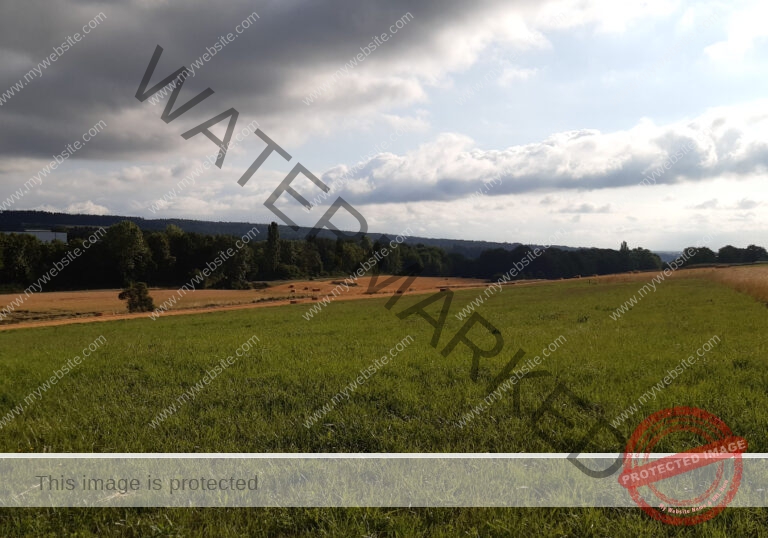 ruh - Hohenberg-Runde 54