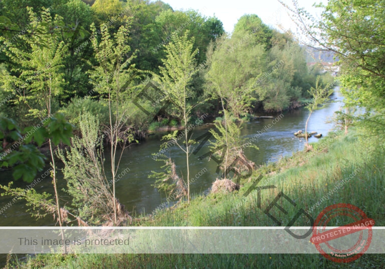 udNeckar - 08.05.2022 - 43