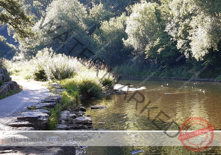 udNeckar - 17.07.2022 - 05