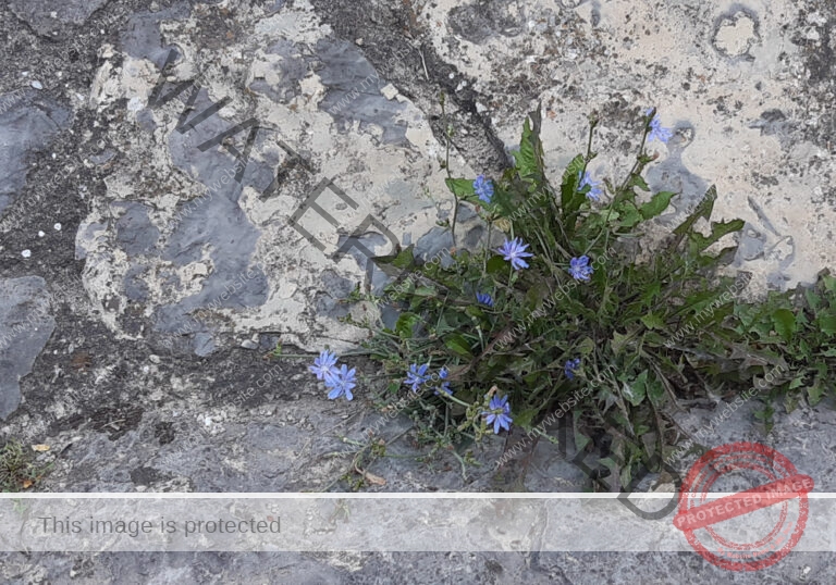 udNeckar - 17.07.2022 - 09