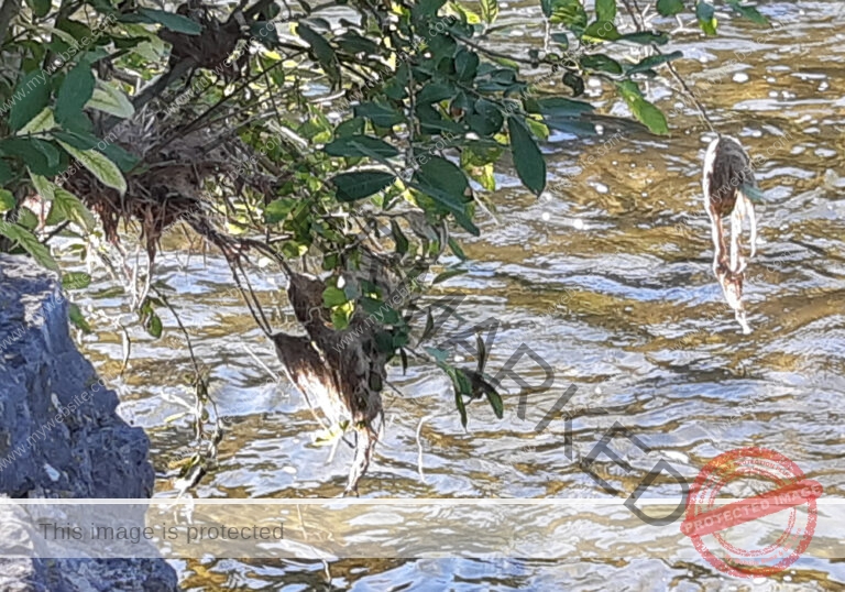 udNeckar - 17.07.2022 - 13