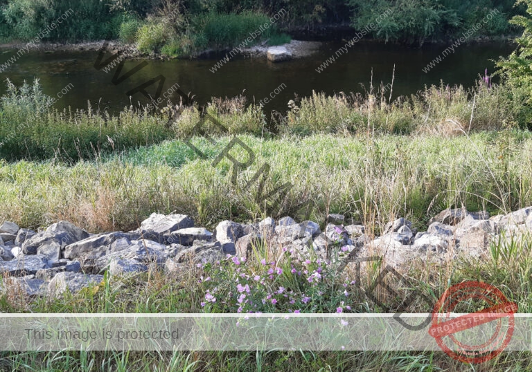 udNeckar - 24.07.2022 - 04
