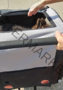 Eyka im Fahrradanhänger 05