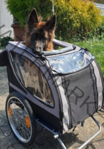 Eyka im Fahrradanhänger 11