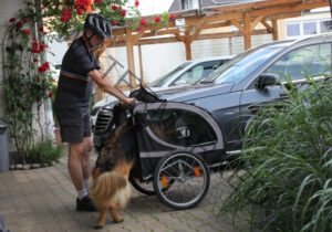 Eyka im Fahrradanhänger 13