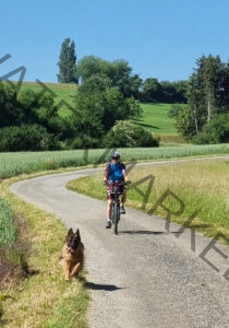 Eyka im Fahrradanhänger 18