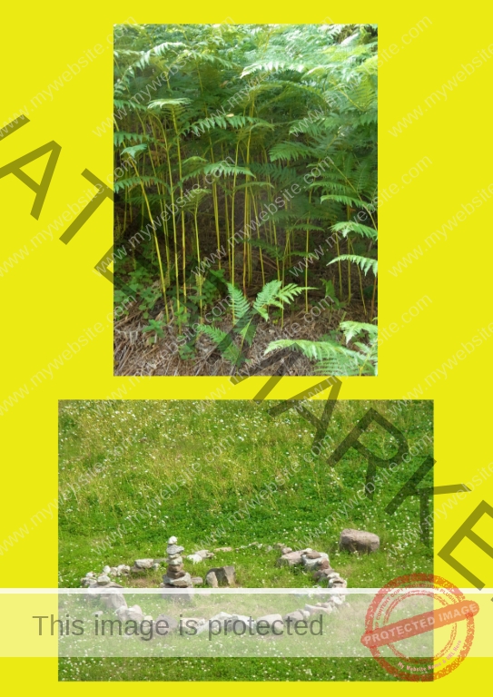 02 Nagoldtalsperre 02f (Mittel)