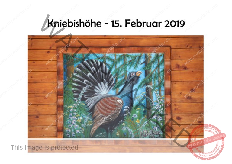2019-02-15 Kniebishöhe 01 (Mittel)