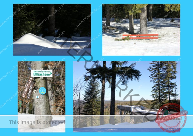 2019-02-15 Kniebishöhe 02f (Mittel)