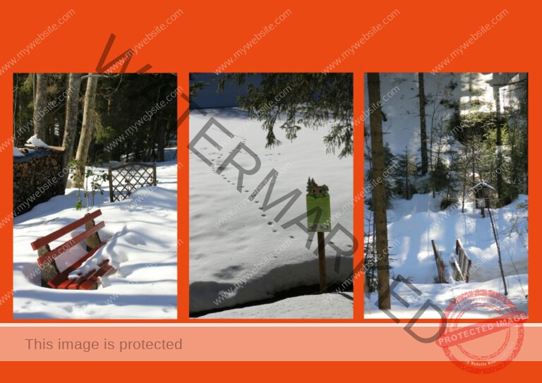 2019-02-15 Kniebishöhe 03f (Mittel)