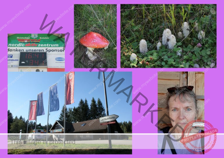 2020-09-15 Kniebishöhe 05f (Mittel)