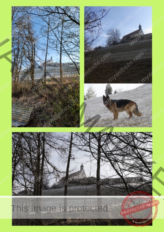 2022-01-27 Wurmlinger Kapelle 04
