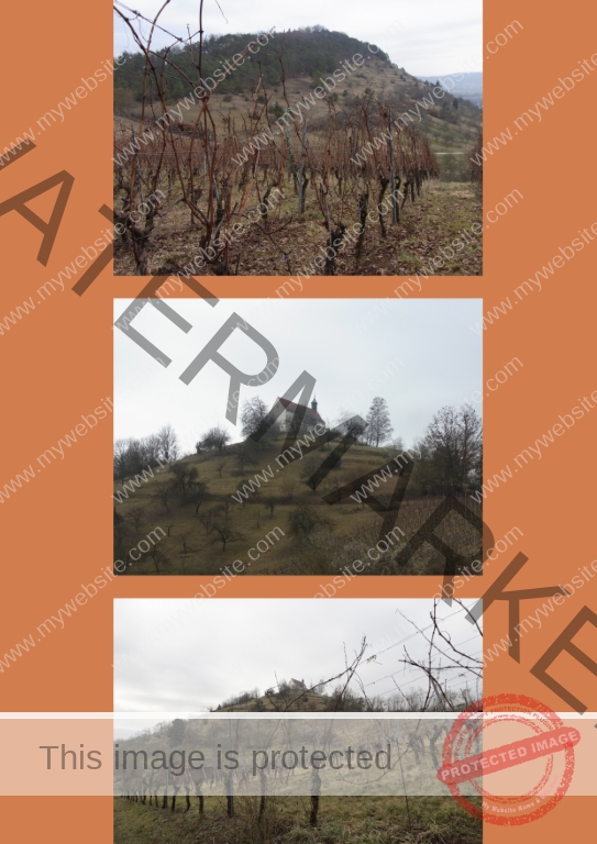 2022-01-27 Wurmlinger Kapelle 10