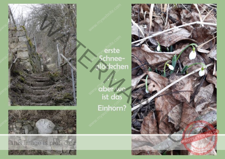 2022-01-27 Wurmlinger Kapelle 12