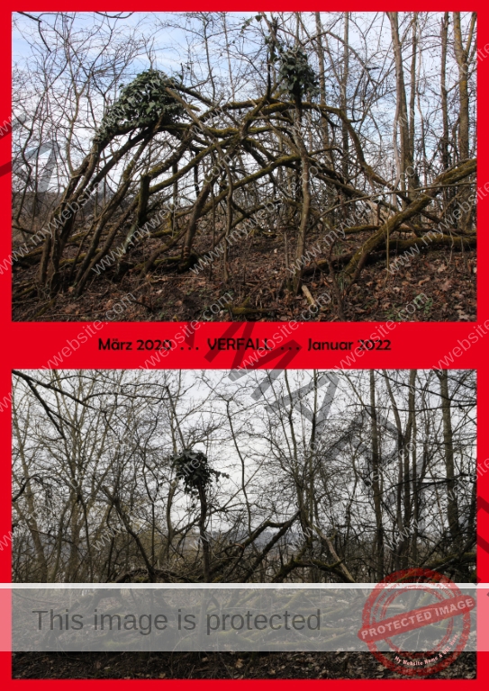 2022-01-27 Wurmlinger Kapelle 14