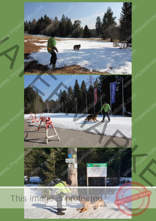 2022-03-07 Kniebishöhe 03f