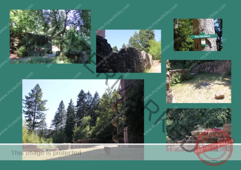 Ruine Mandelberg 08f