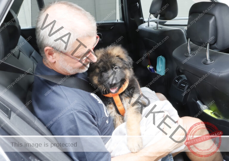 bei der Heimfahrt war kuscheln