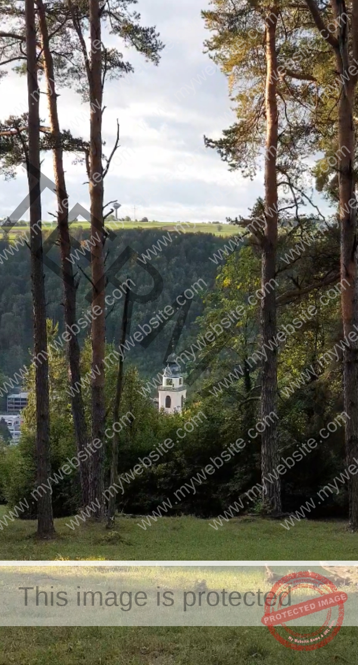 Gassi am Kugler, Landschaft 017