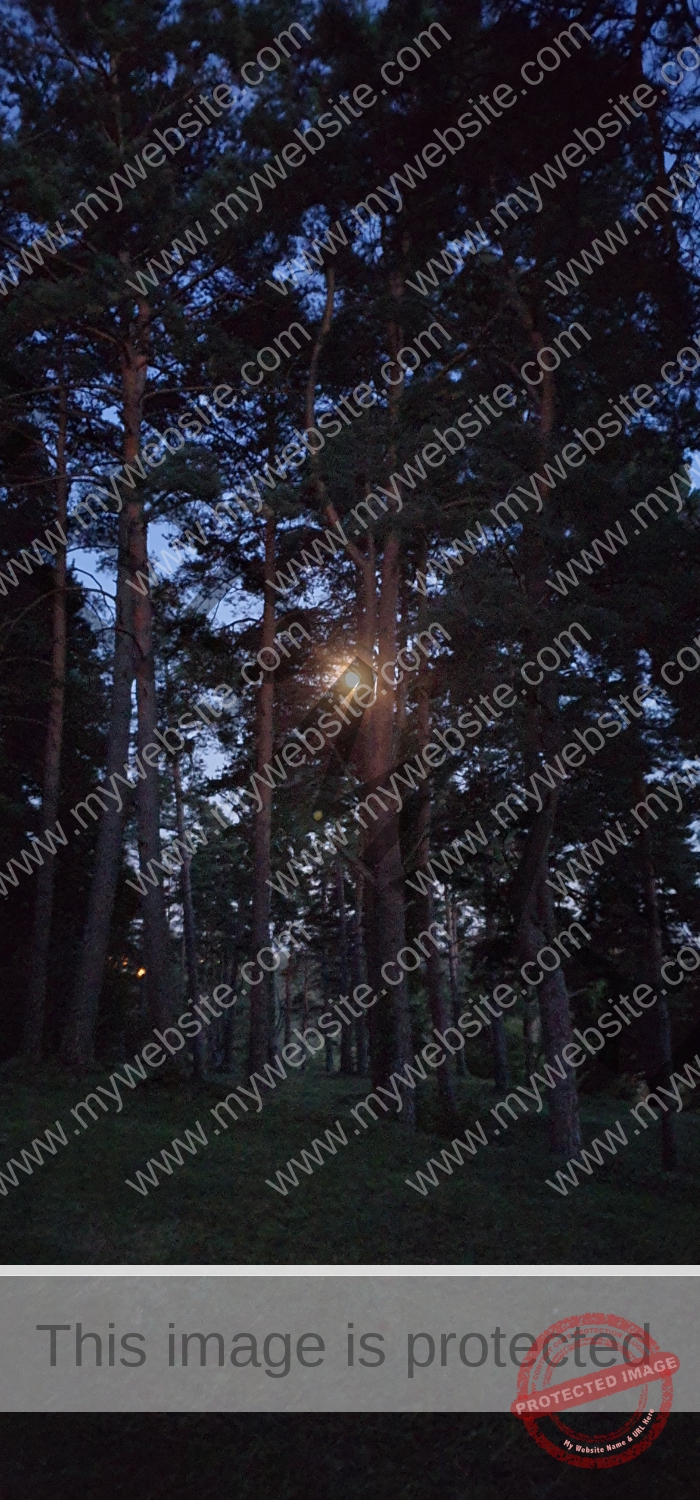 Gassi am Kugler, Landschaft 019