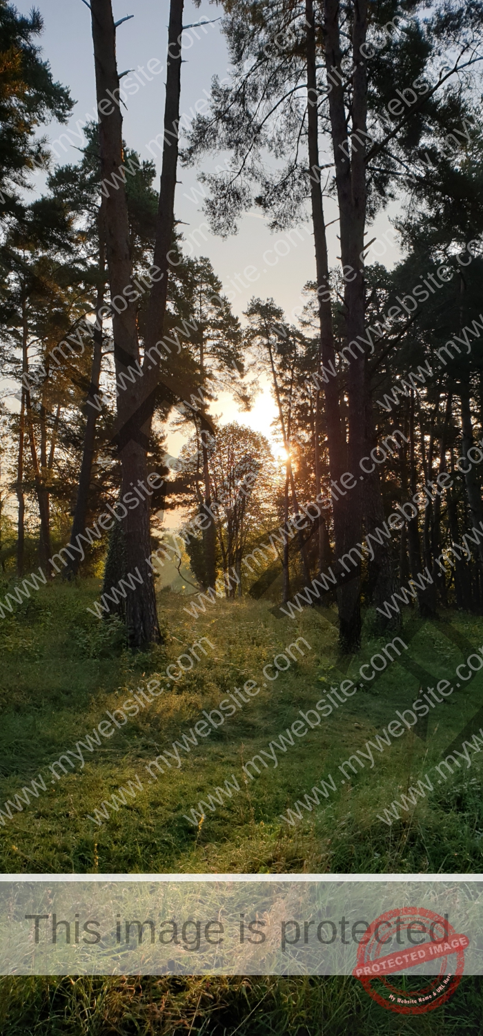 Gassi am Kugler, Landschaft 021
