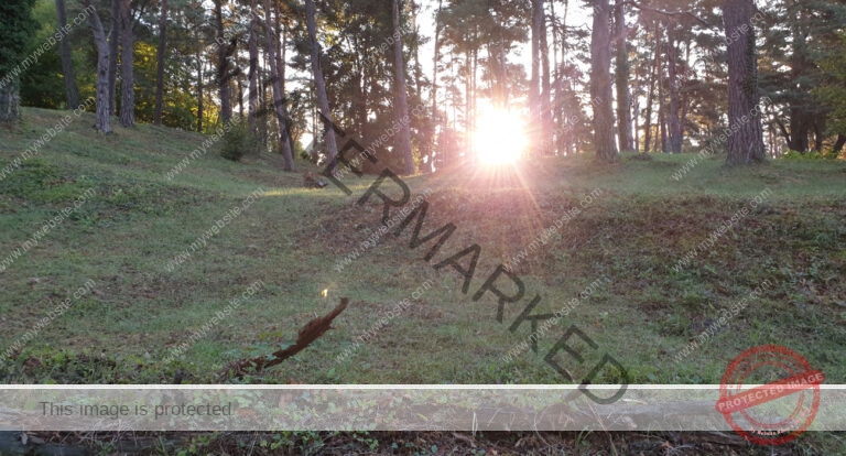 Gassi am Kugler, Landschaft 024