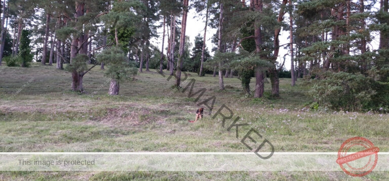 Gassi am Kugler, Landschaft 026