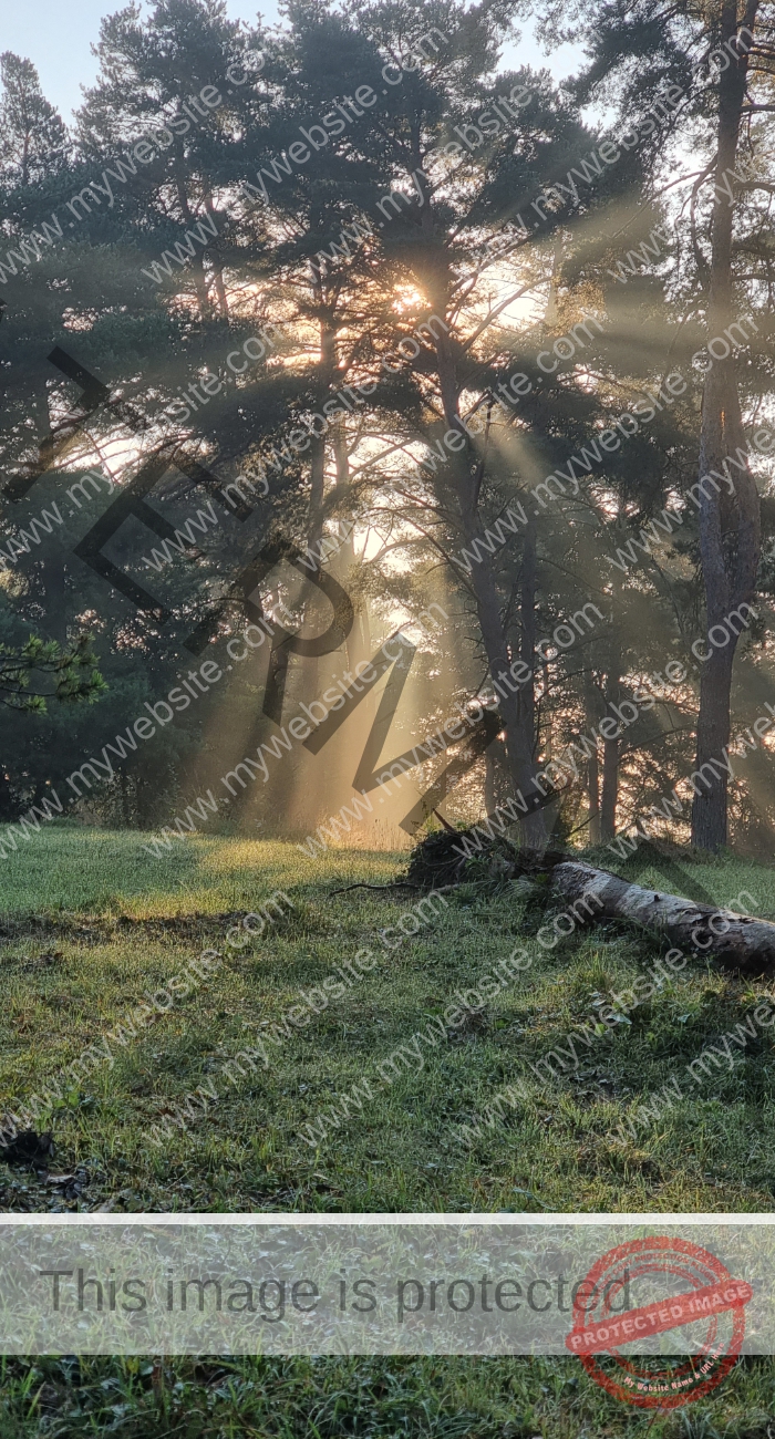 Gassi am Kugler, Landschaft 033