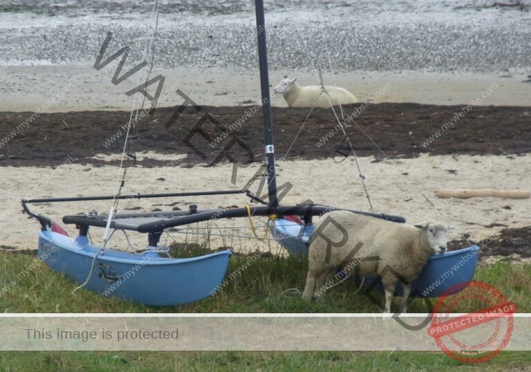 LB Tiere 021