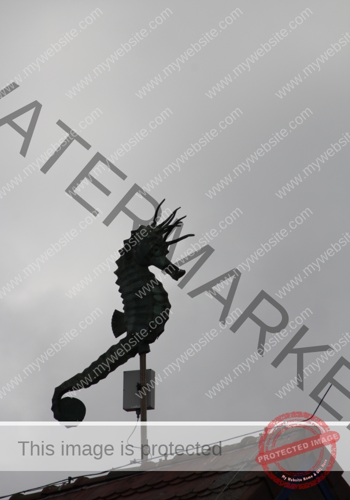 LB Tiere 029