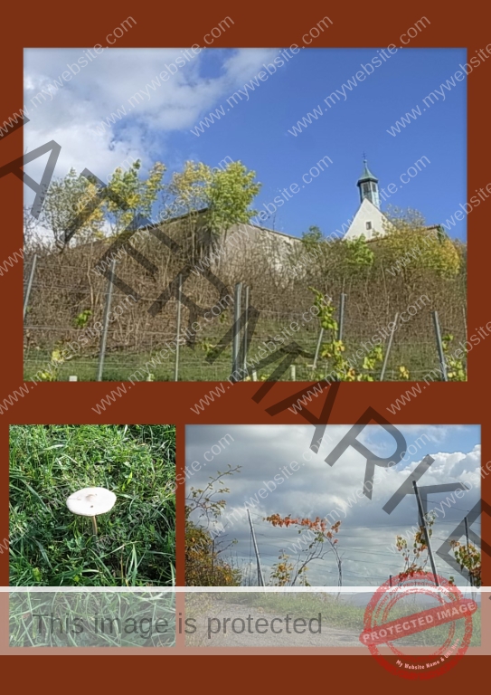 2022-10-18 Wurmlinger Kapelle 03f