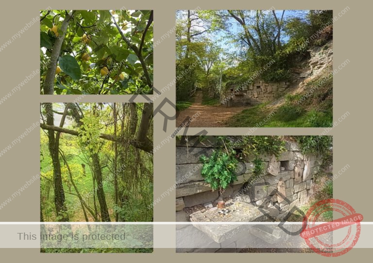 2022-10-18 Wurmlinger Kapelle 07f