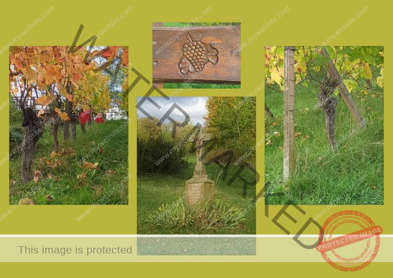 2022-10-18 Wurmlinger Kapelle 09f