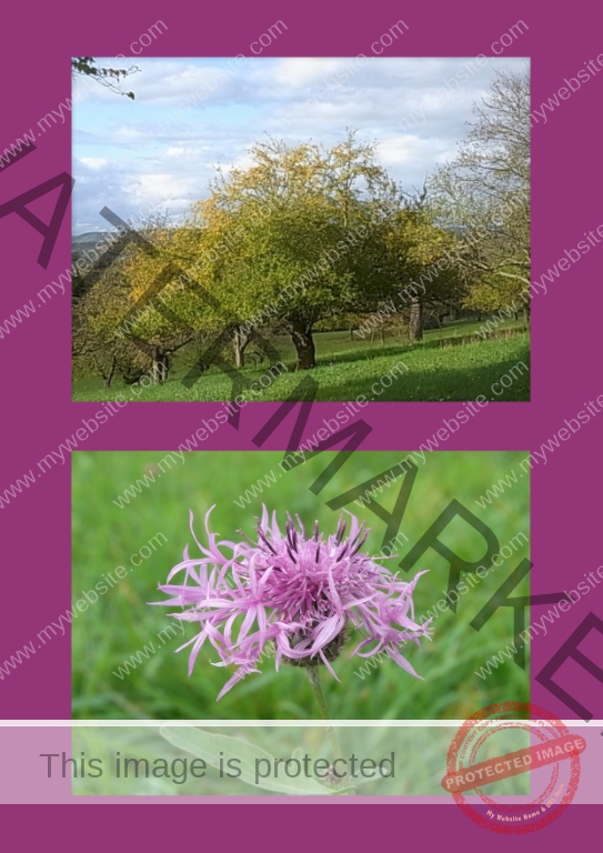 2022-10-18 Wurmlinger Kapelle 10f