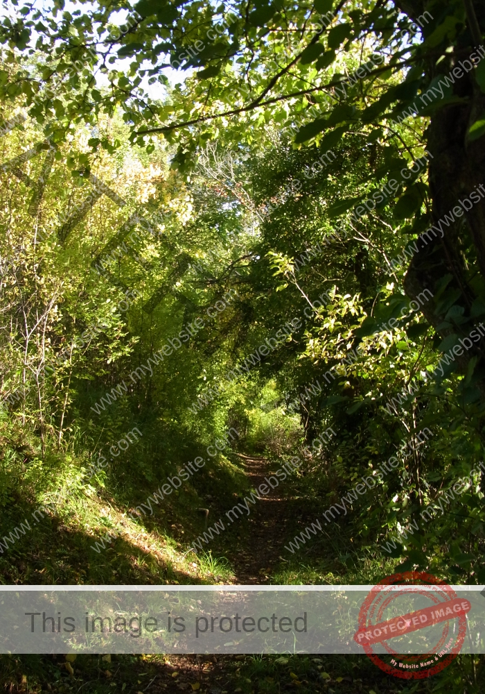 ruh Ringmauer-Rundweg 003