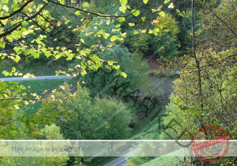 ruh Ringmauer-Rundweg 006