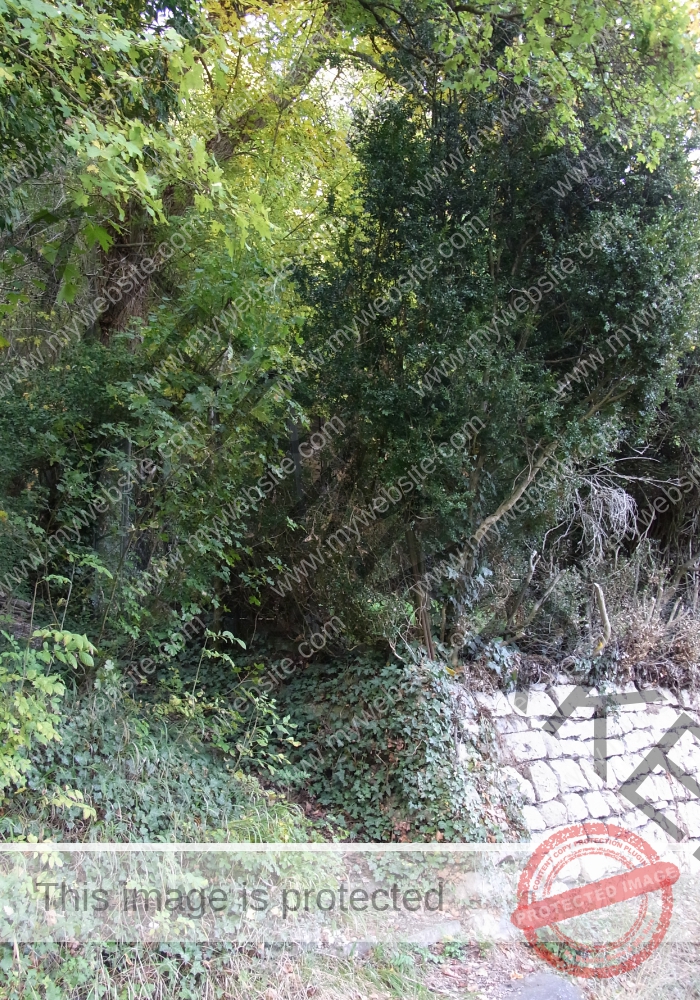 ruh Ringmauer-Rundweg 013