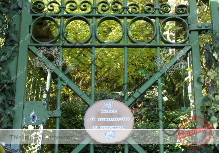 ruh Ringmauer-Rundweg 020