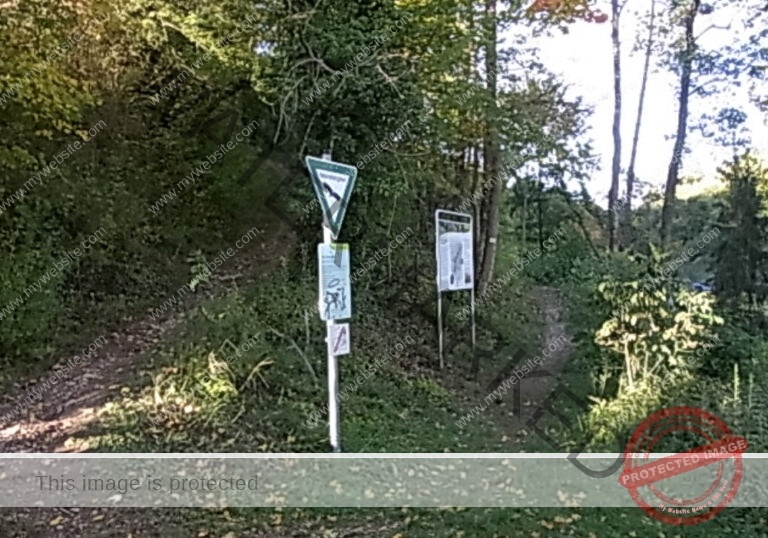 ruh Ringmauer-Rundweg 030