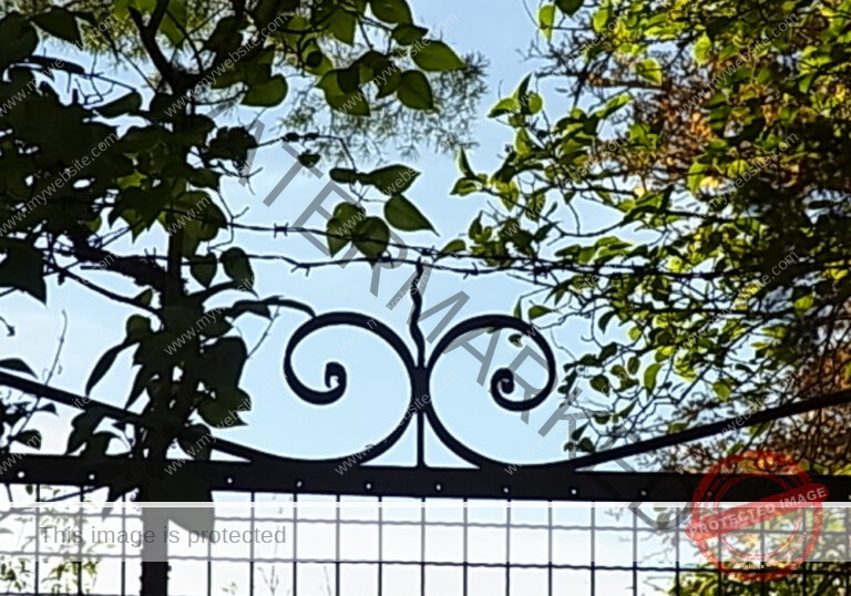 ruh Ringmauer-Rundweg 031