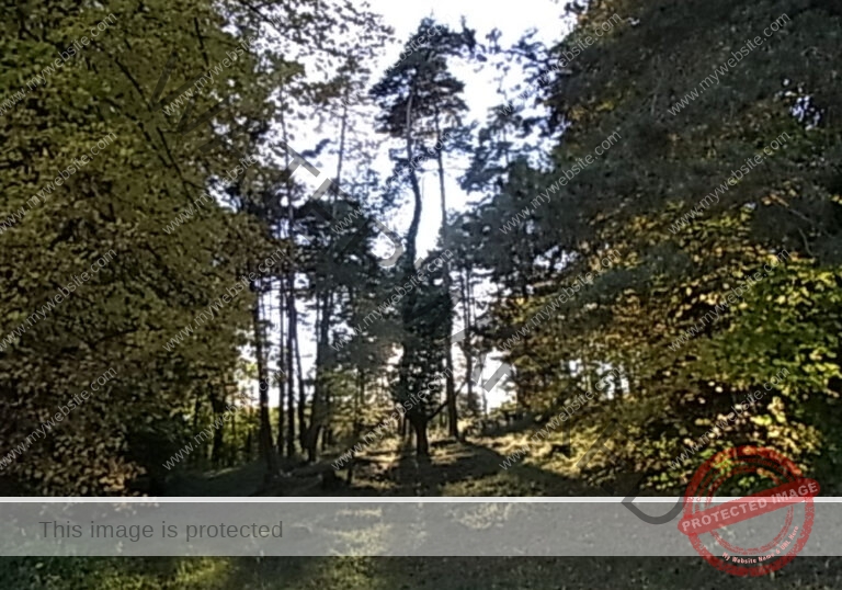 ruh Ringmauer-Rundweg 039