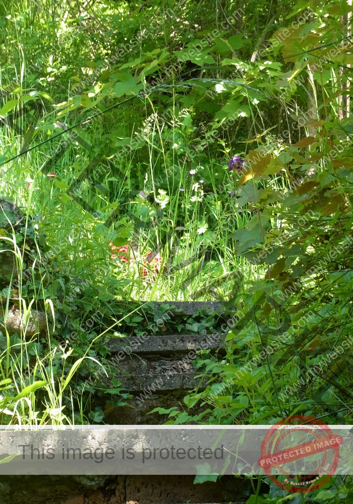 ruh Ringmauer-Rundweg 44