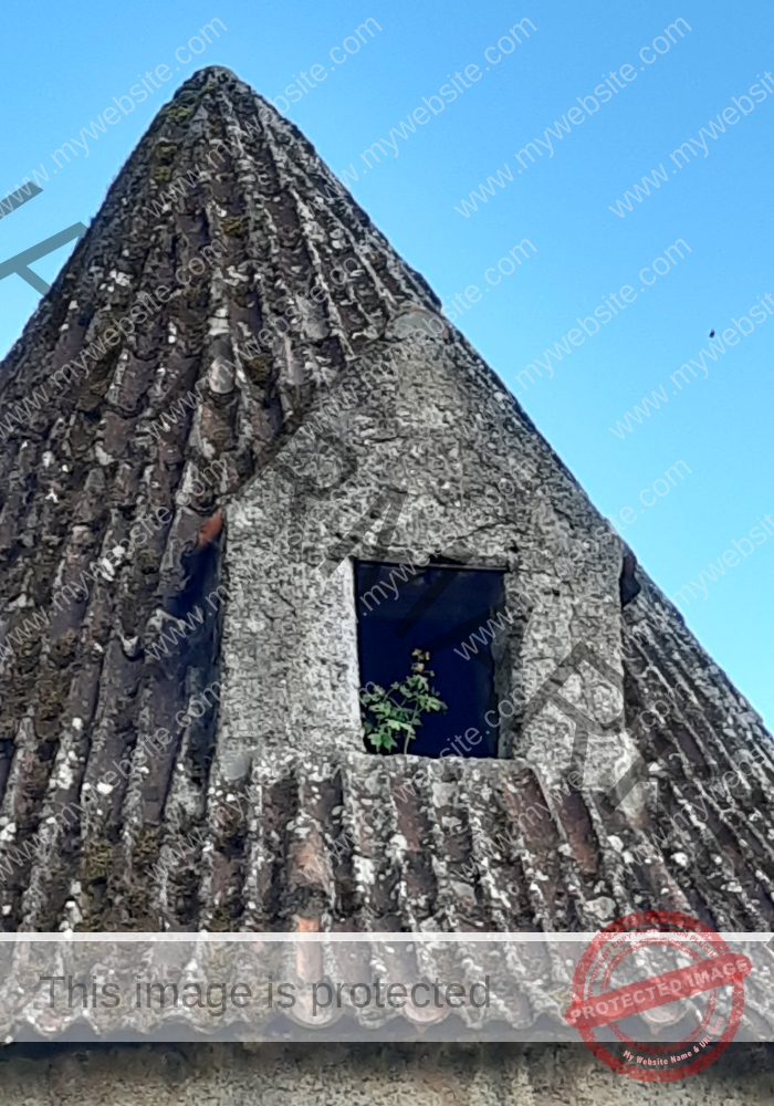 ruh Ringmauer-Rundweg 84