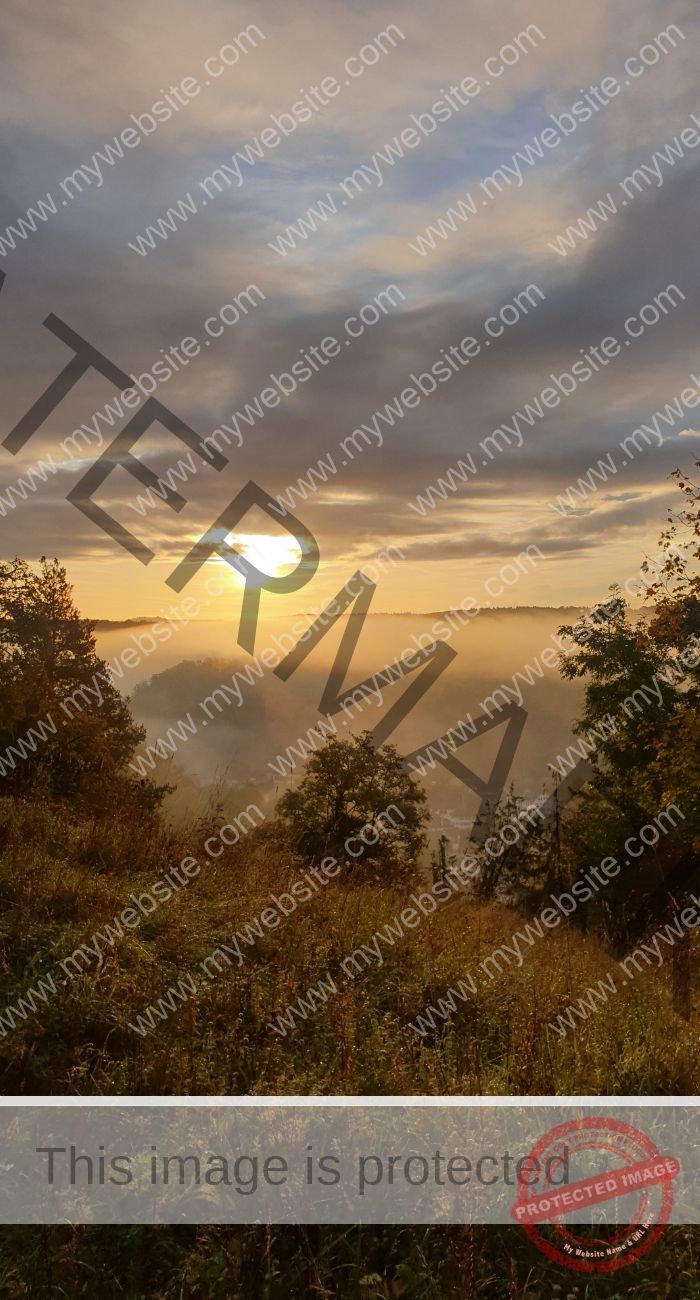 LB Nebelbilder 005