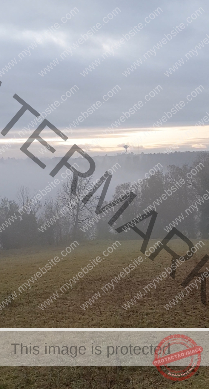 LB Nebelbilder 008