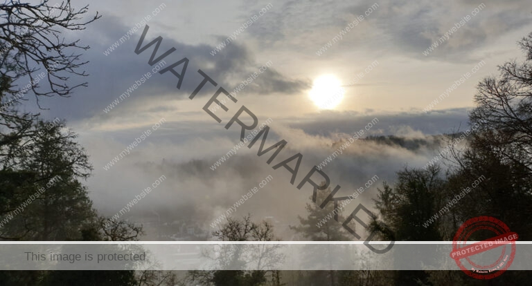 LB Nebelbilder 009