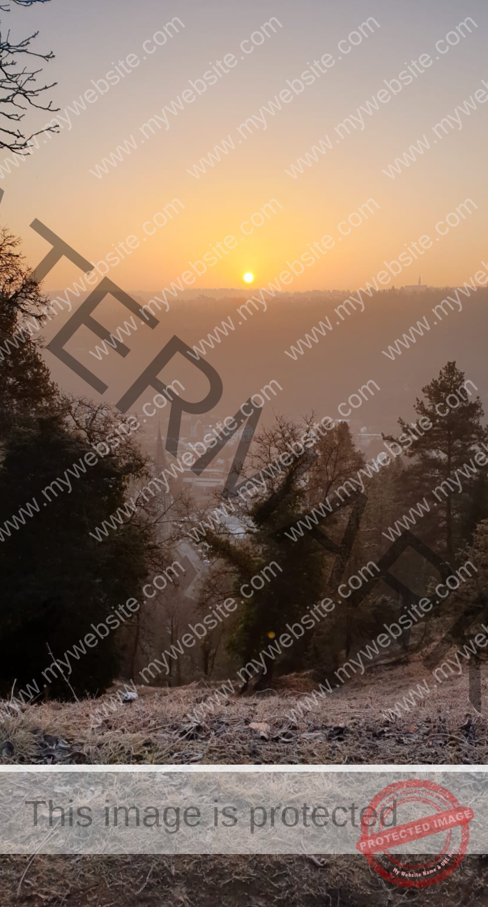 LB Nebelbilder 010