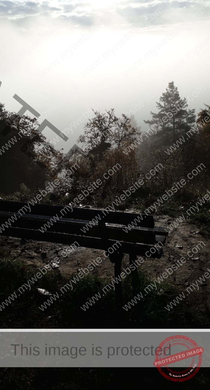 LB Nebelbilder 011