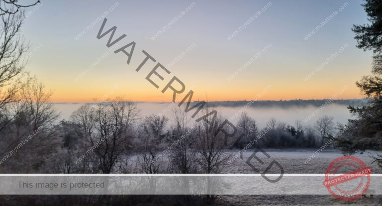 LB Nebelbilder 034